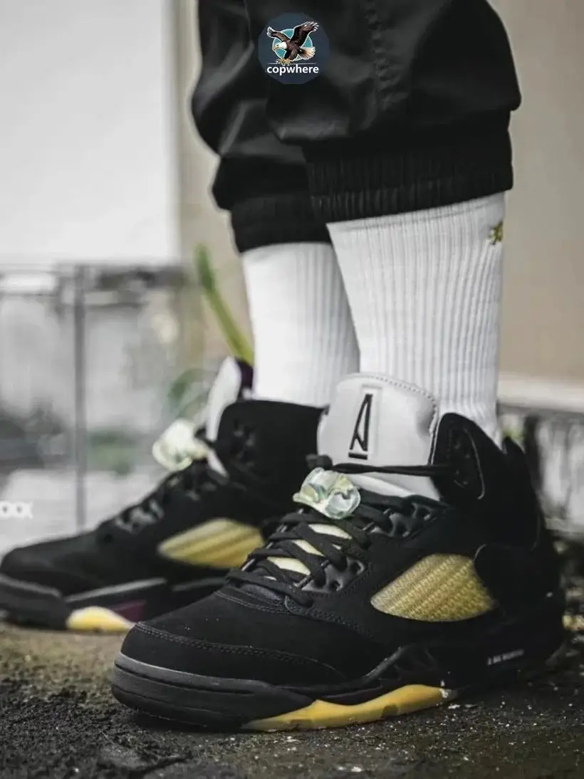 Air Jordan 5