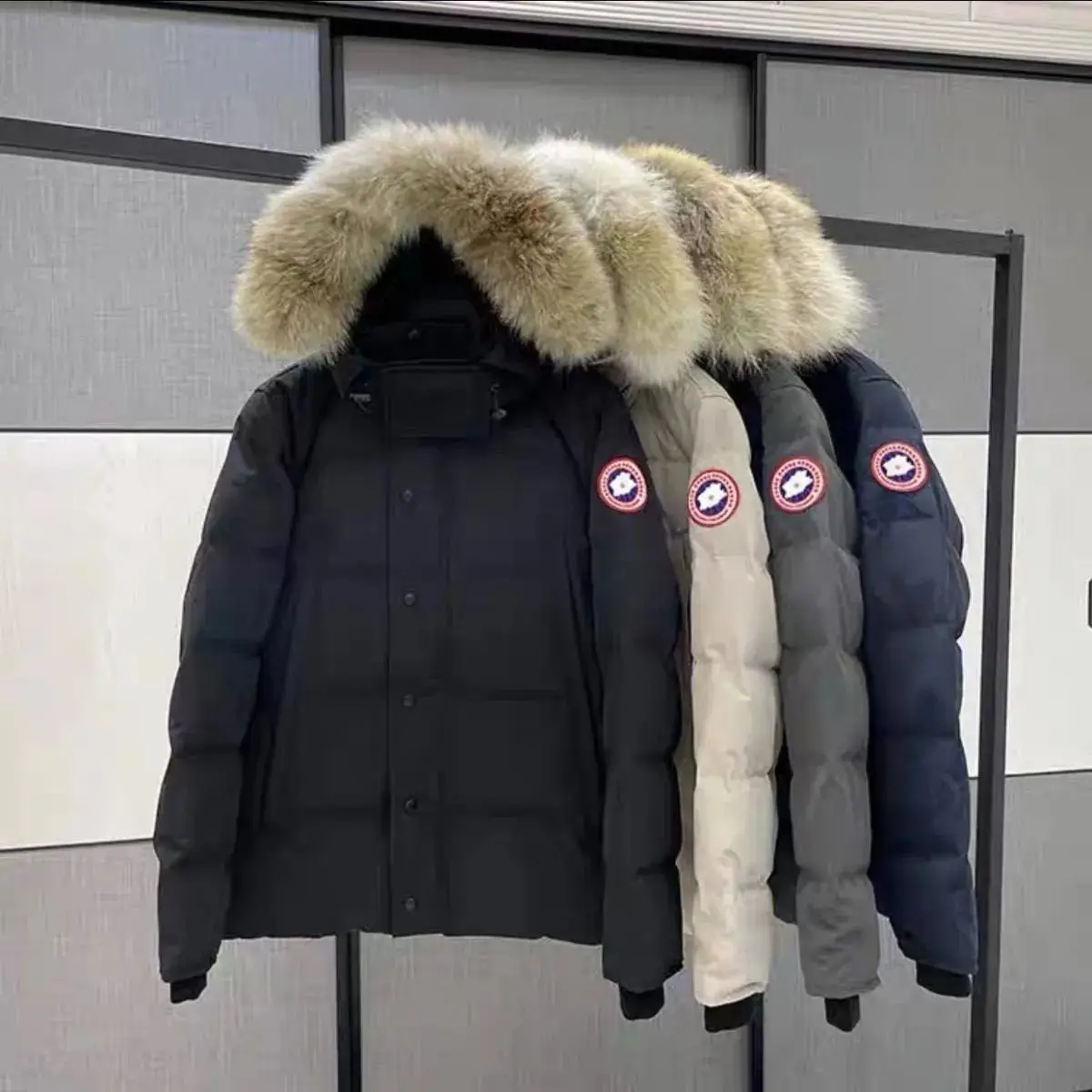 Canada Goose Down Jackets (4 Styles)