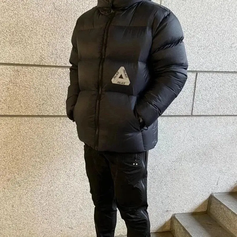 PALACE Down Jacket [2 styles]