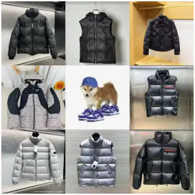Louis Vuitton Down Jacket