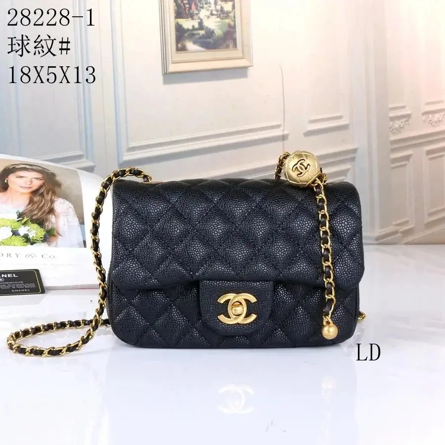 Chanel Classic Flap Bag [1 style]