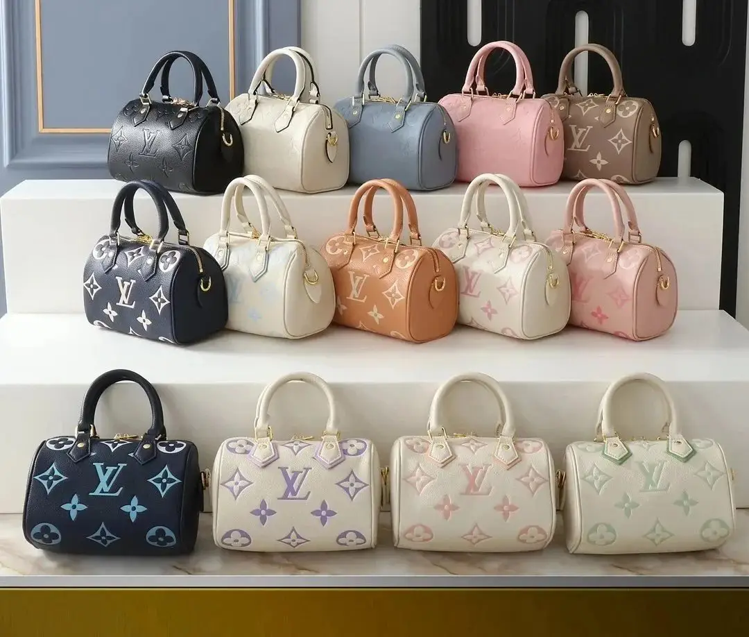 LV Bag