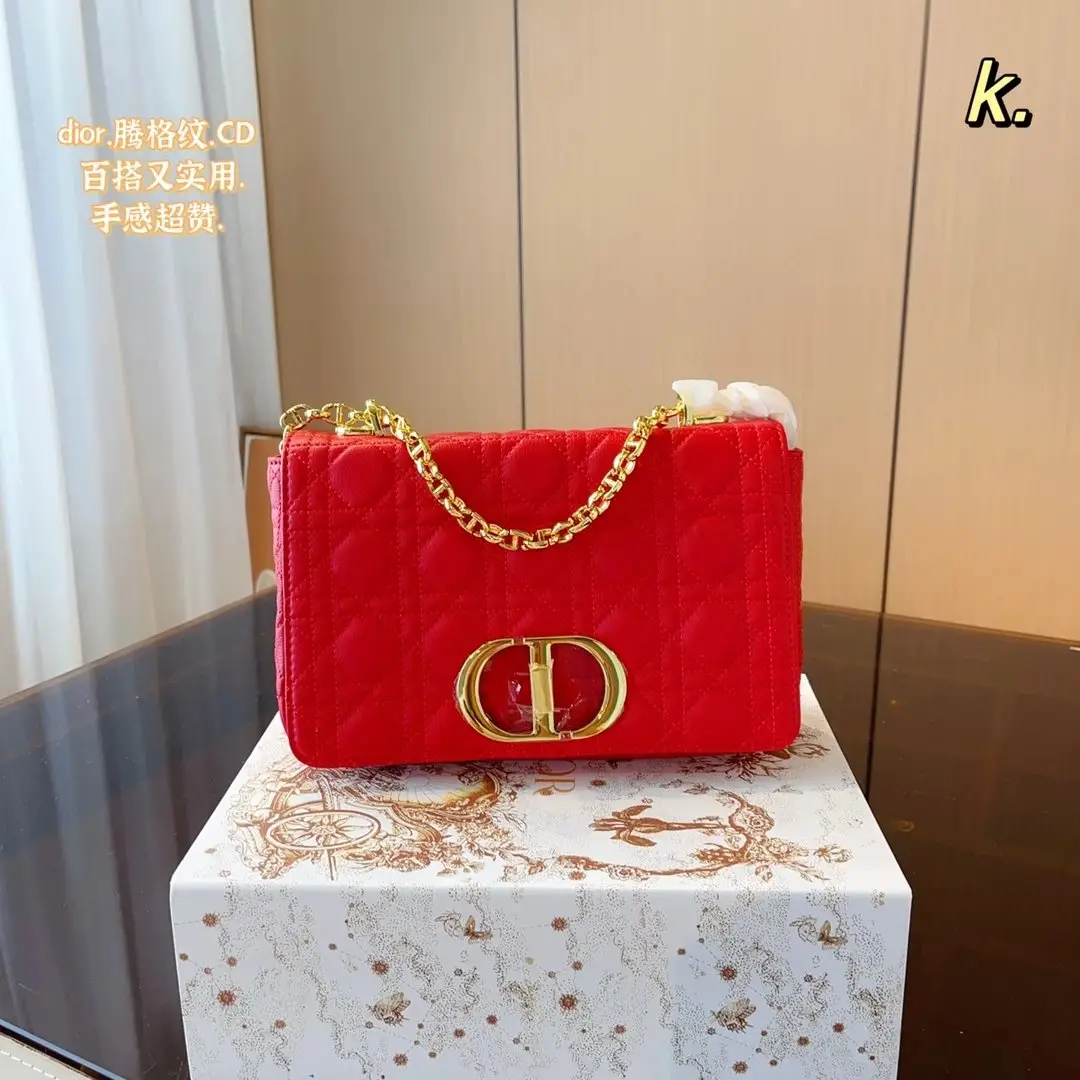 Dior Chain Bag