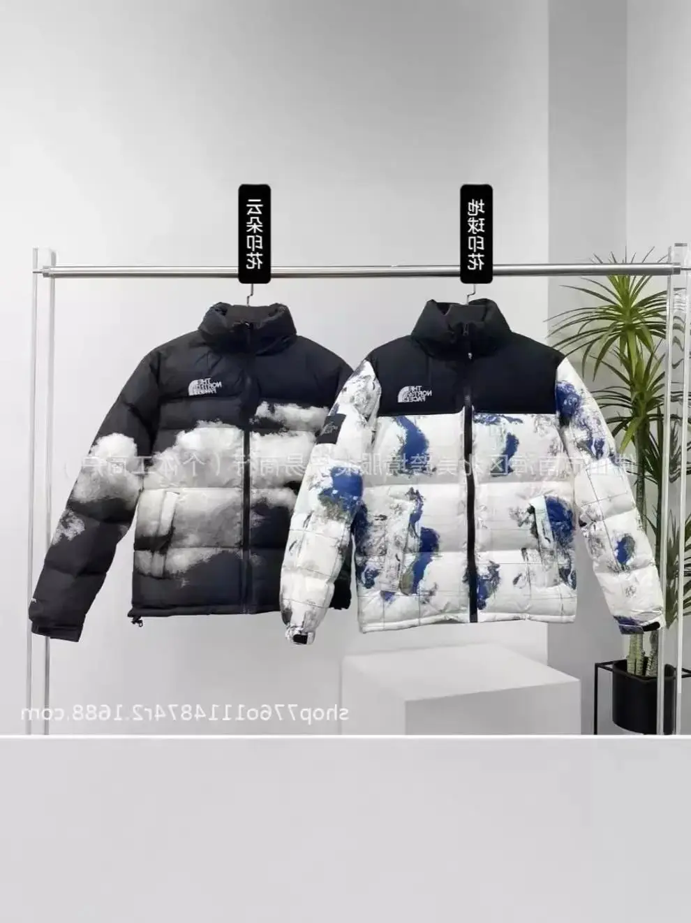 The North Face Down Jacket